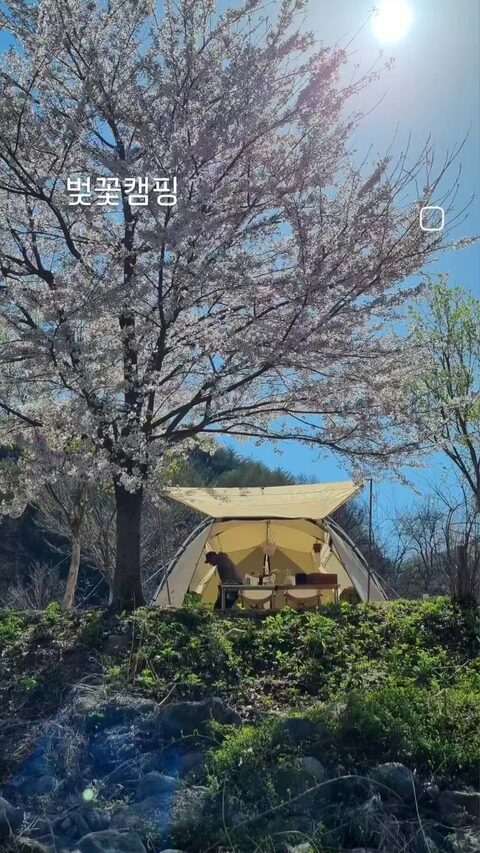 아베나키원버너스탠드의 사진 검색결과 8개 | 라이프스타일 슈퍼앱, 오늘의집